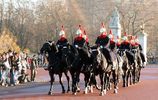 Royal guard  London  U.K.