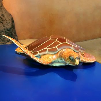 Gigant Green Sea Turtle.