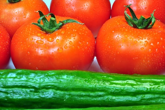 Fresh vegetables: tomatoes and cucumbers