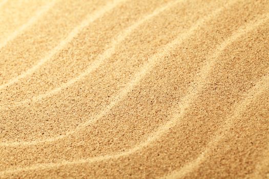 Sand background. Sunny summer beach close up view
