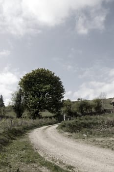 winding dirt road on lush irish countryside landscape in glenough county tipperary ireland