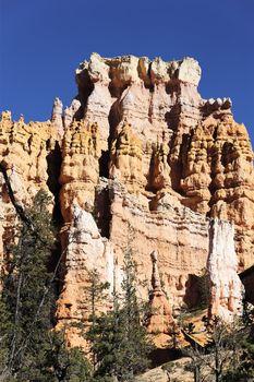 spectacular Hoodoo rock spires of Bryce Canyon, Utah, USA 