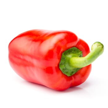 Red paprika pepper against a white background