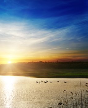 dramatic sunset over river with swans