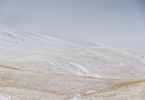Bleak winter landscape, Madison County, Montana, USA