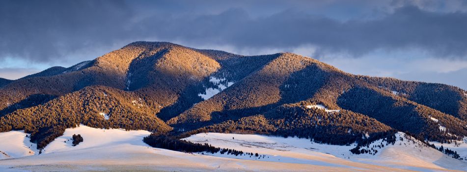 Forested Ridge in winter at sunset, Gallatin National Forest, Montana, USA
