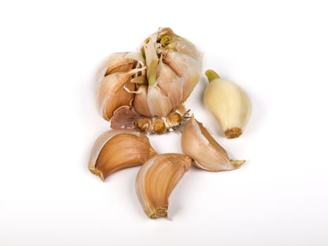 fresh garlic isolated on white background