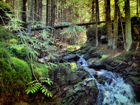 Mountain creek and waterfall in virgin forest,Czech
