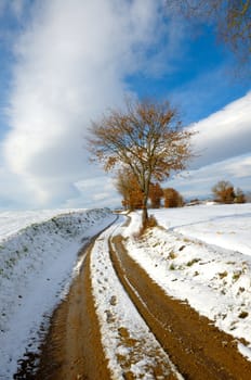 Snowy landscape of a little wood in Tuscany