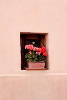 Red and pink flowers in a flowerpot on the wall
