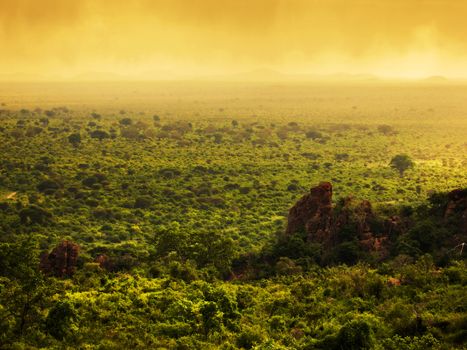 Bush landscape in Kenya, Africa. Tsavo West National Park. Sunset sky