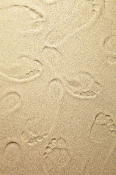 Sandy beach background with footprints for summer