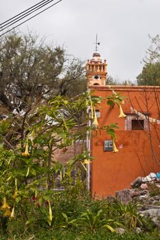 Colonial building with festive decoration and exotic flowers in San Miguel de Allende, Mexico