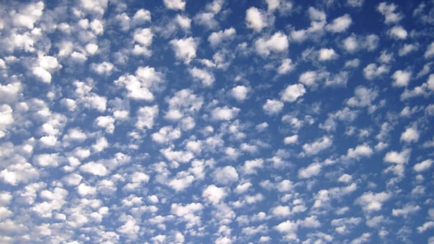 sky in the unusual  clouds in the form of  pieces of cotton wool