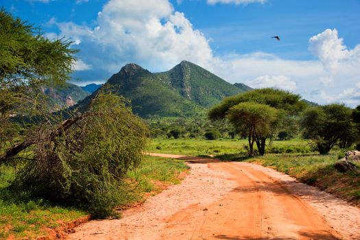Red ground road and bush with savanna landscape in Africa. Tsavo West, Kenya.