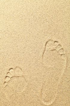 Footprints on beach background with copy space. Sand texture 