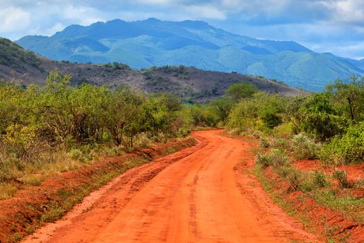 Red ground road and savanna landscape in Africa. Tsavo West, Kenya.