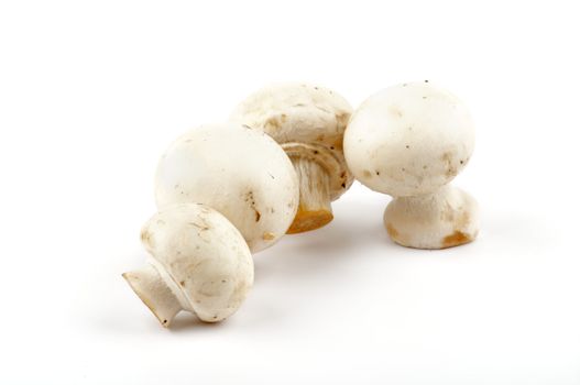 White Champignon Mushroom isolated on white background