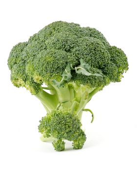 Two broccoli florets isolated on white background