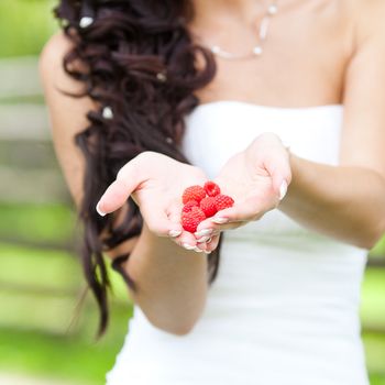 juicy red raspberries in the hands of the bride