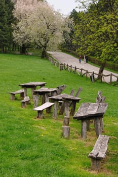 Old wooden benches on green grass in park