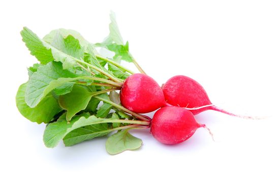 bunch of fresh radish with leaves, isolated on white
