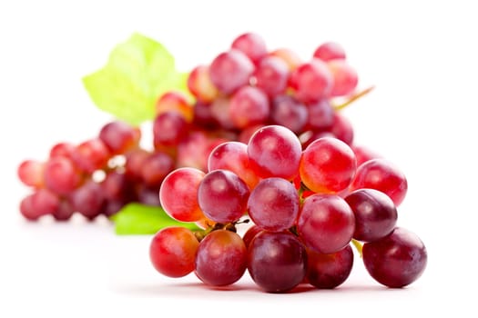 red grape, isolated on white background.