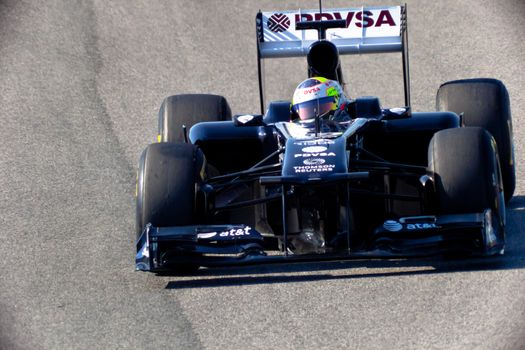 JEREZ DE LA FRONTERA, SPAIN - FEB 11: Pastor Maldonado of Williams F1 races on training session on  February 11 , 2011, in Jerez de la Frontera , Spain