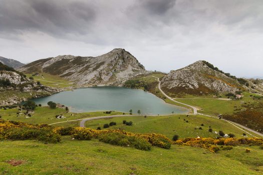 Fantastic lake Enol, one of the famous lakes of Covadonga, Asturias ,  Spain