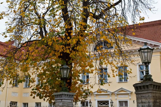 Yellow Building in the Old Town of Tallinn, Estonia