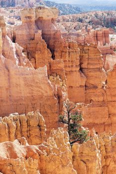 landscape of famous Bryce Canyon, USA
