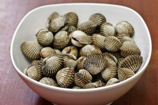 Scald scallop in white dish, Seafood