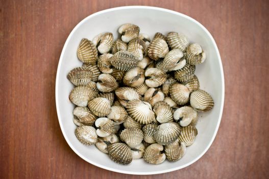 Scald scallop in white dish, Seafood