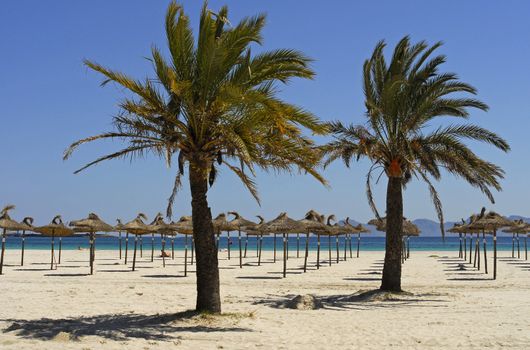 beach in Mallorca