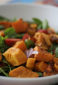 Roast pumpkin salad, shallow focus