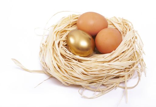 Golden egg shines in a nest