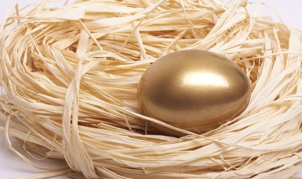 Gold egg in nest close-up