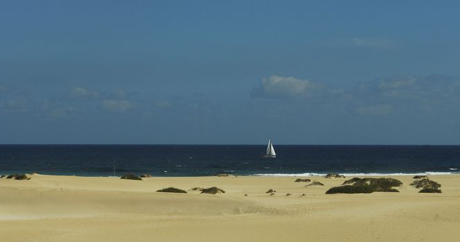 coastline in Fuerteventura,Canary islands