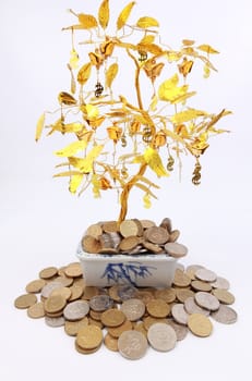 Golden tree with coins underneath it .