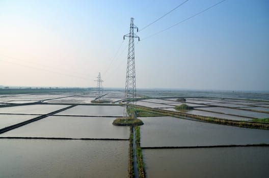 View of the rice fields in Hebei province in north east China