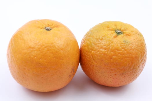 A pair of fresh oranges