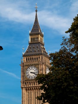 Big Ben and green tree in London UK