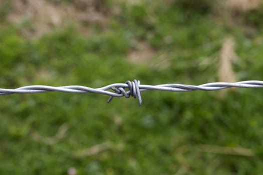 single barb on a barbed wire fence against a green background