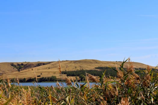 Summer beautiful landscape with ravine and bulrush