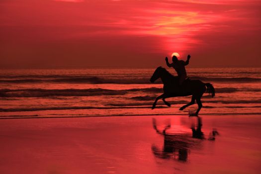 silhouette of lone horse and rider with arms in the air with joy on a beach in Ireland