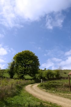 winding dirt road on lush irish countryside landscape in glenough county tipperary ireland