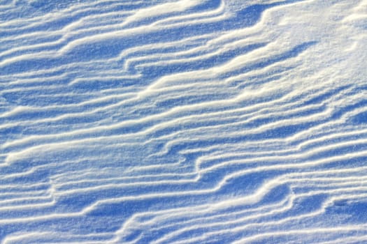 snow drifts in the morning light as the background