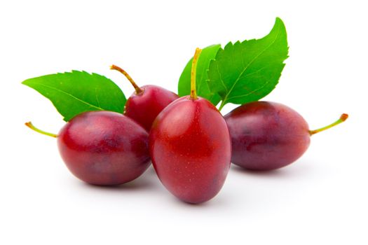 plums with leaves on white background.