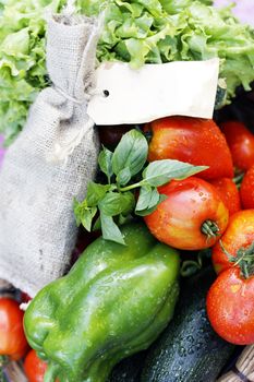 different wet vegetables on table in garden