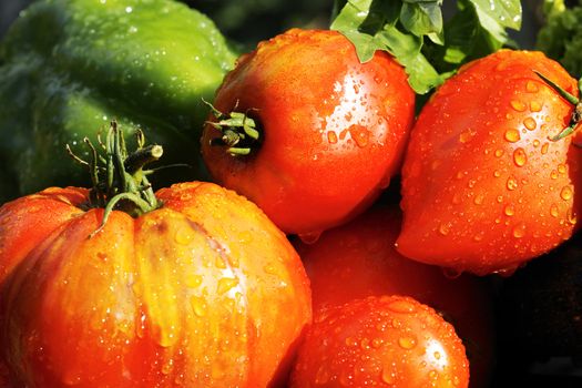 some wet vegetables on the table in garden